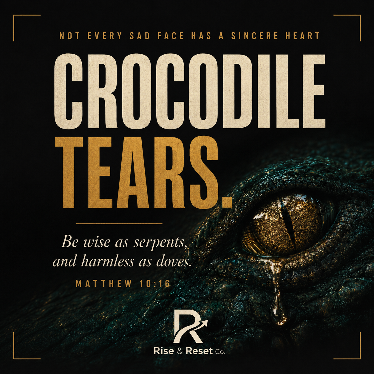 Crocodile Tears — Not every sad face has a sincere heart.
